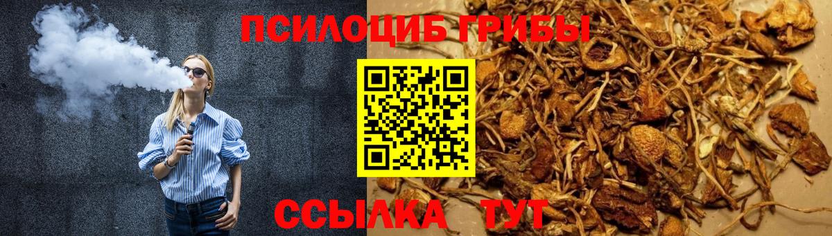 Псилоцибиновые грибы прущие грибы  Галлюциногенные грибы Psilocybe  Балашов  Вход с VPN 